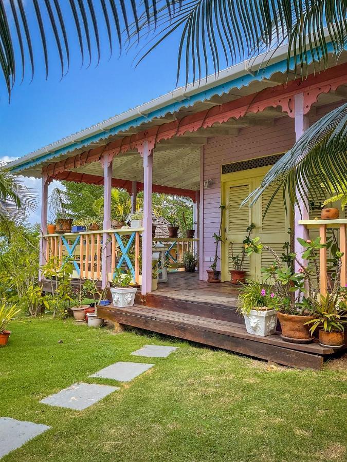 Villa Caribbean Dream Vieux Fort Exteriör bild